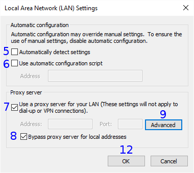 Internet Explorer: Network (LAN) Settings