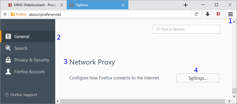 Firefox: Options / General / Network