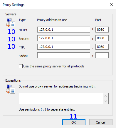 Internet Explorer: Network (LAN) Proxy Settings